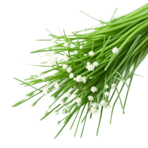 Chives