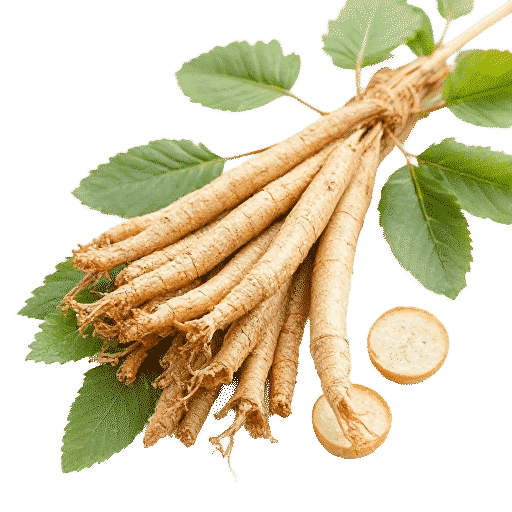 Ginseng