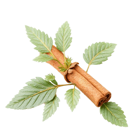 Cinnamon