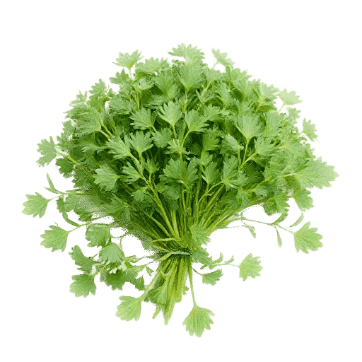 Dandelion Greens