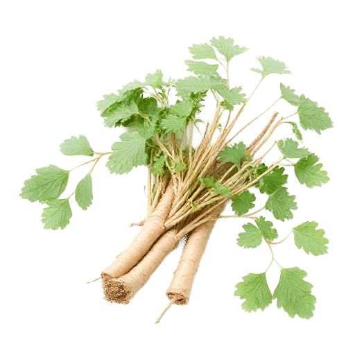 Licorice Root