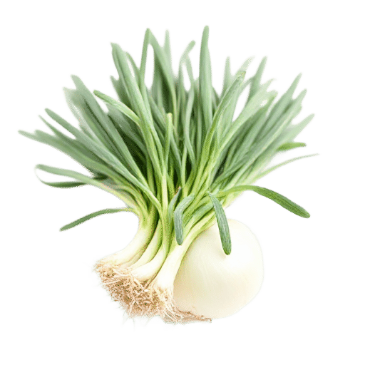 Onion