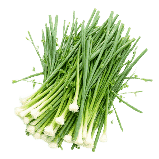 Scallions