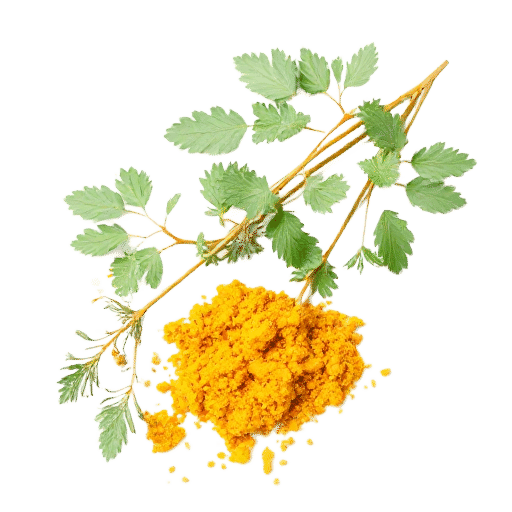 Turmeric
