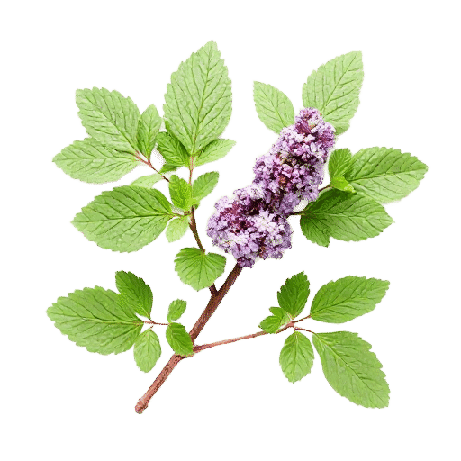 Valerian