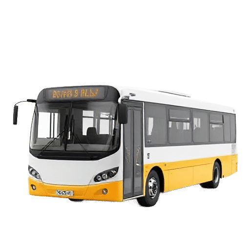 bus