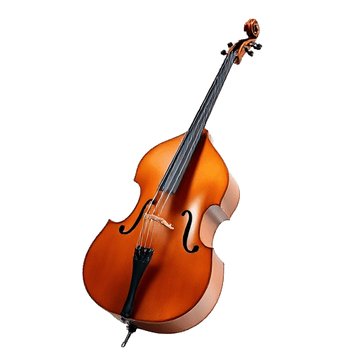 doublebass
