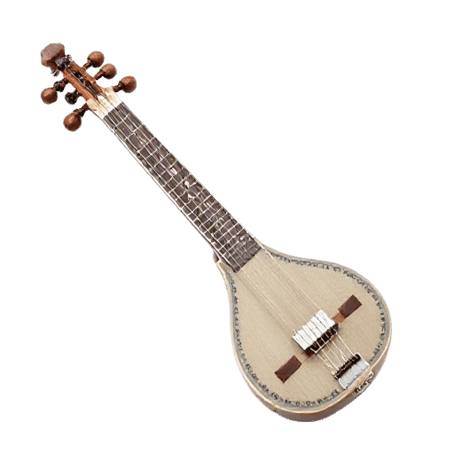 sitar