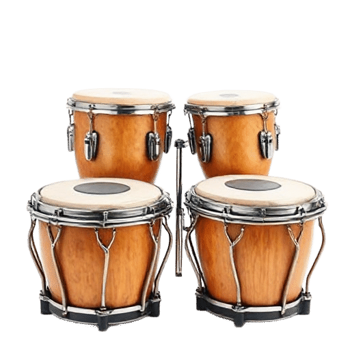 timbales