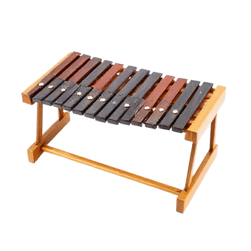 xylophone