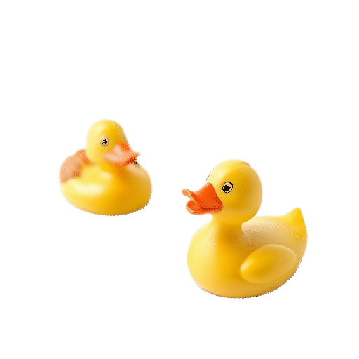 Duck Pond toys