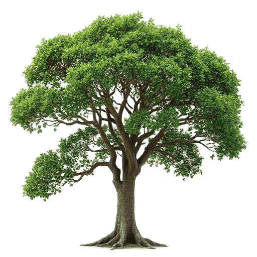 Bodhi tree