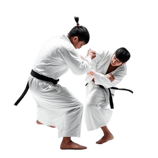 Judo