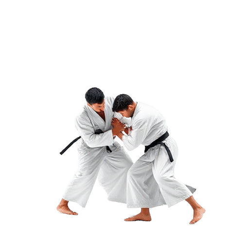 Judo