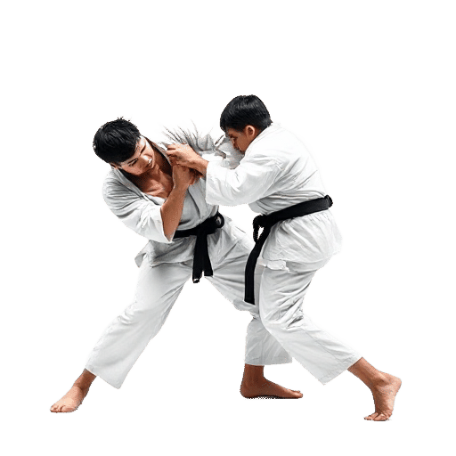 Judo