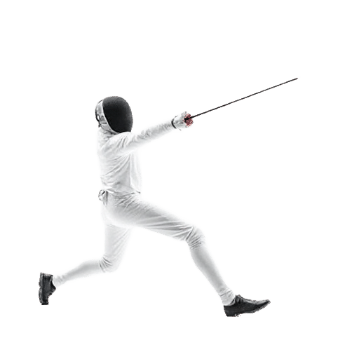 Paralympic Fencing event