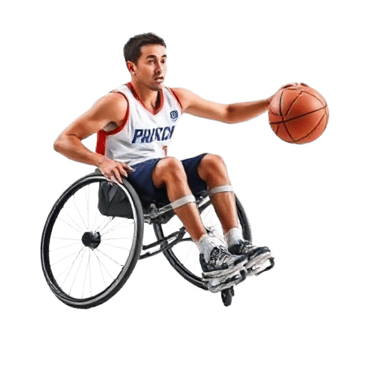 Paralympic Wheelchair Basketball