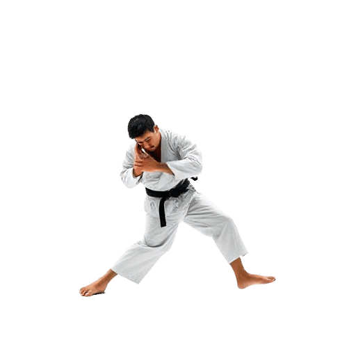 Para Judo