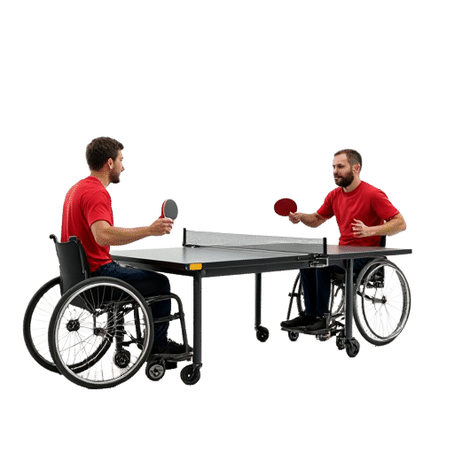 Para Table Tennis
