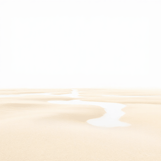 Sandbars