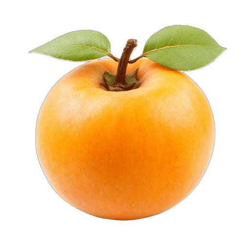 apricot