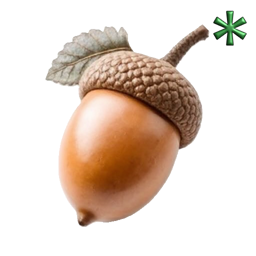 acorns