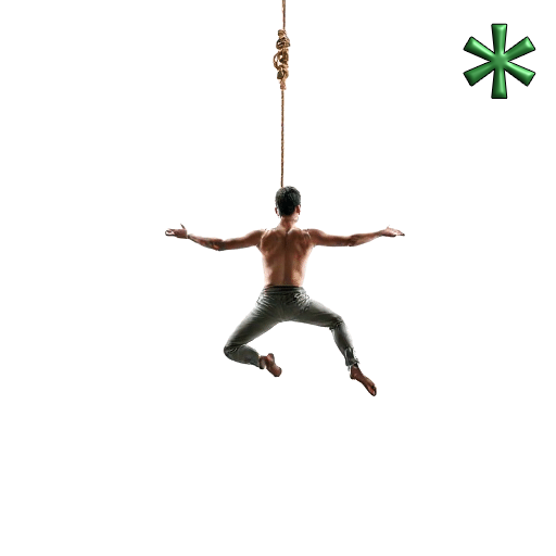 aerial rope performers