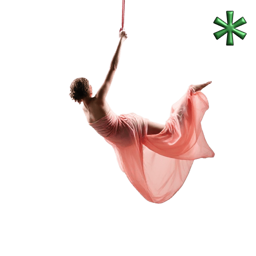 Aerial Silks
