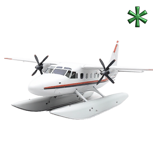 Amphibious aircraft