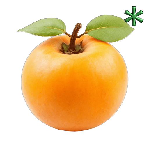 apricots