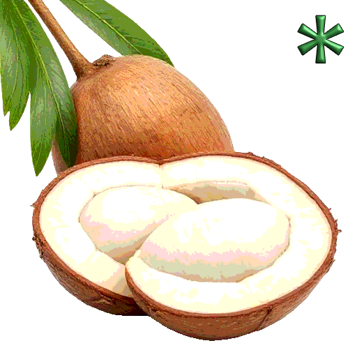 areca nuts
