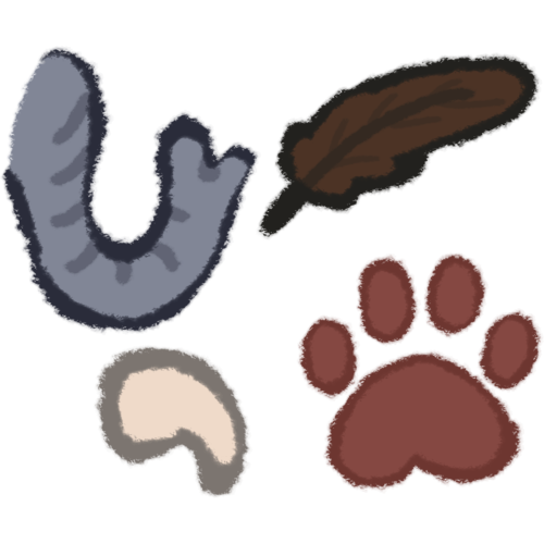 animal parts