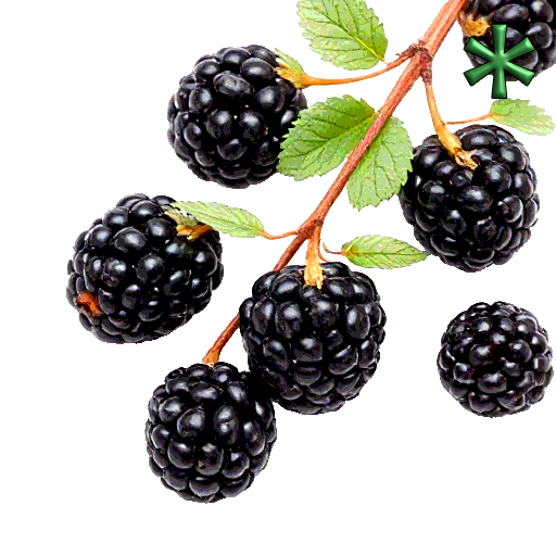 blackberries
