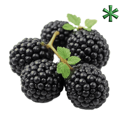Blackberries