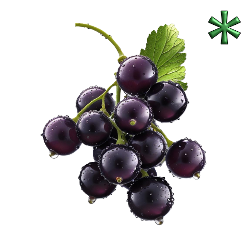blackcurrants