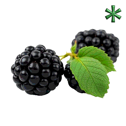 blackberries