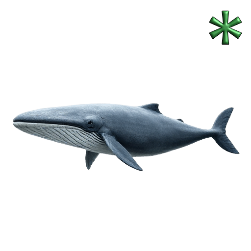 Bowhead Whales