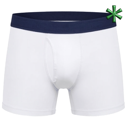 boxer briefs