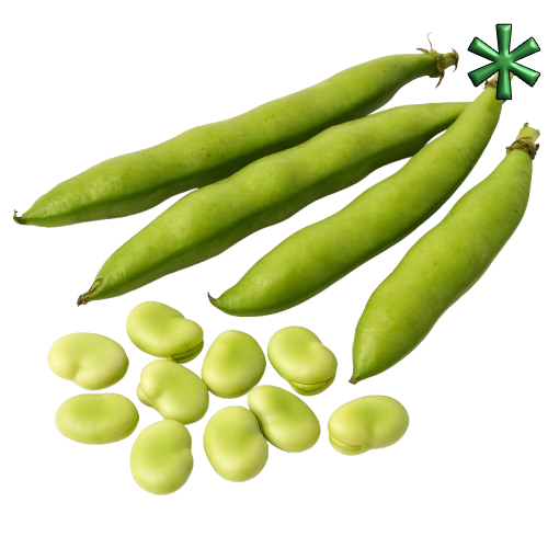 Broad beans