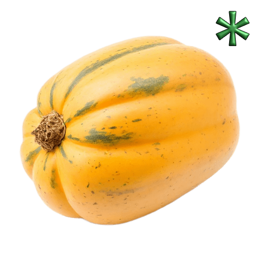 butternut squashes