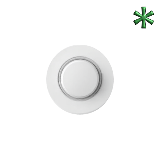 button switches