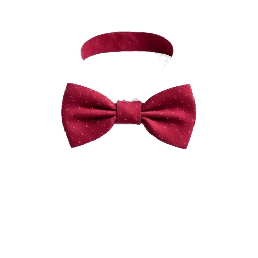 Bow Tie