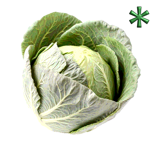 cabbages