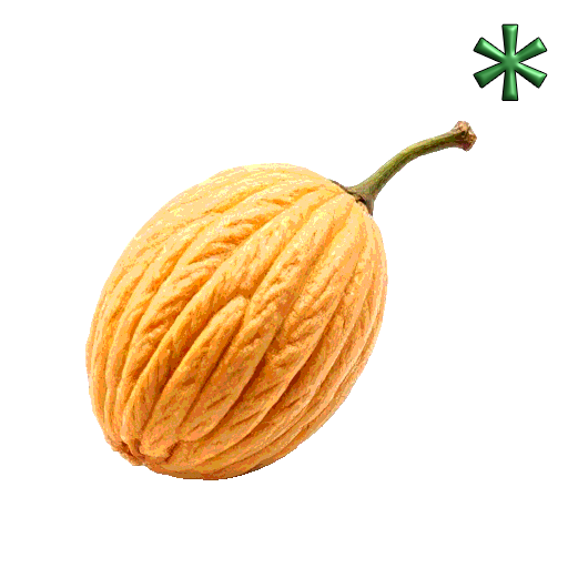 canarium almonds