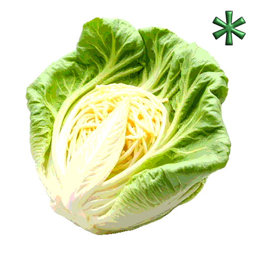 chinese cabbages