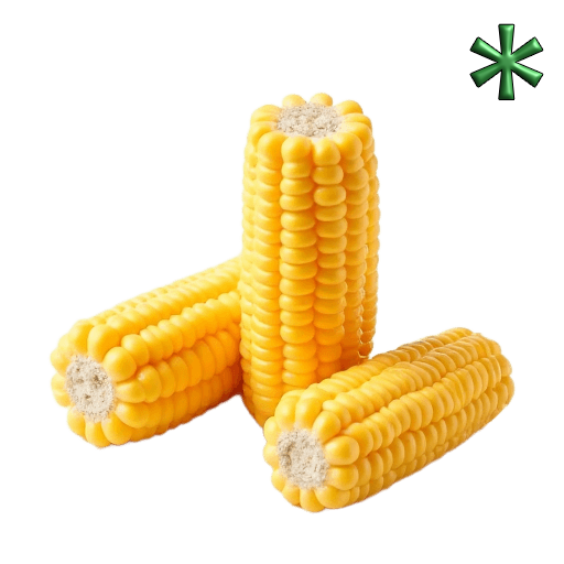 corn on the cobs