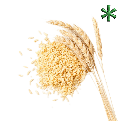 Durum wheat seeds