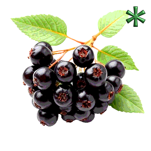 elderberries