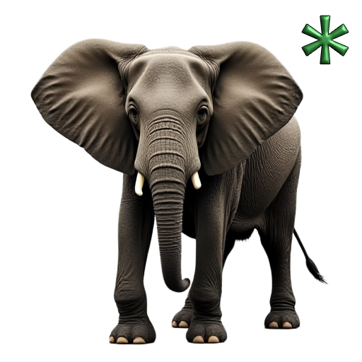 elephants