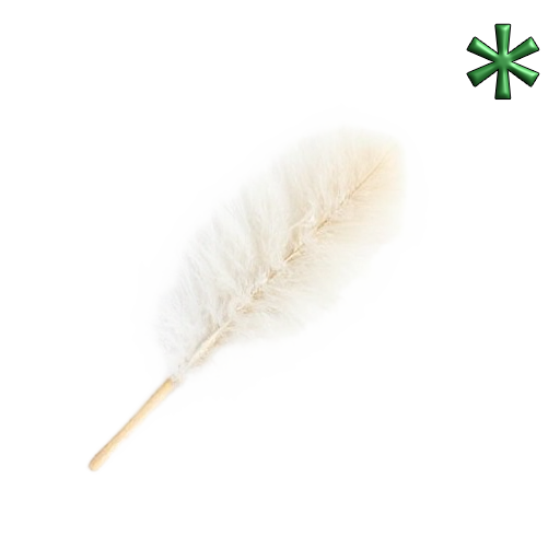 feather dusters